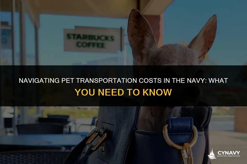does the navy pay to ship pets