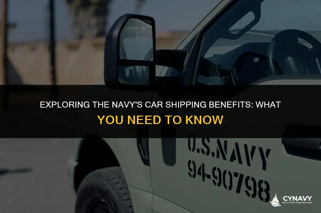 does the navy pay to ship your car