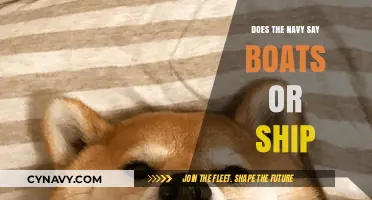 Exploring Naval Terminology: The Great 'Boat' vs. 'Ship' Debate