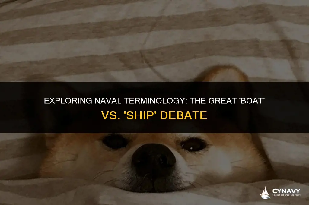 does the navy say boats or ship