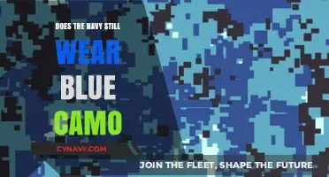 Blue Camouflage in the Modern Navy: A Tradition in Transition?