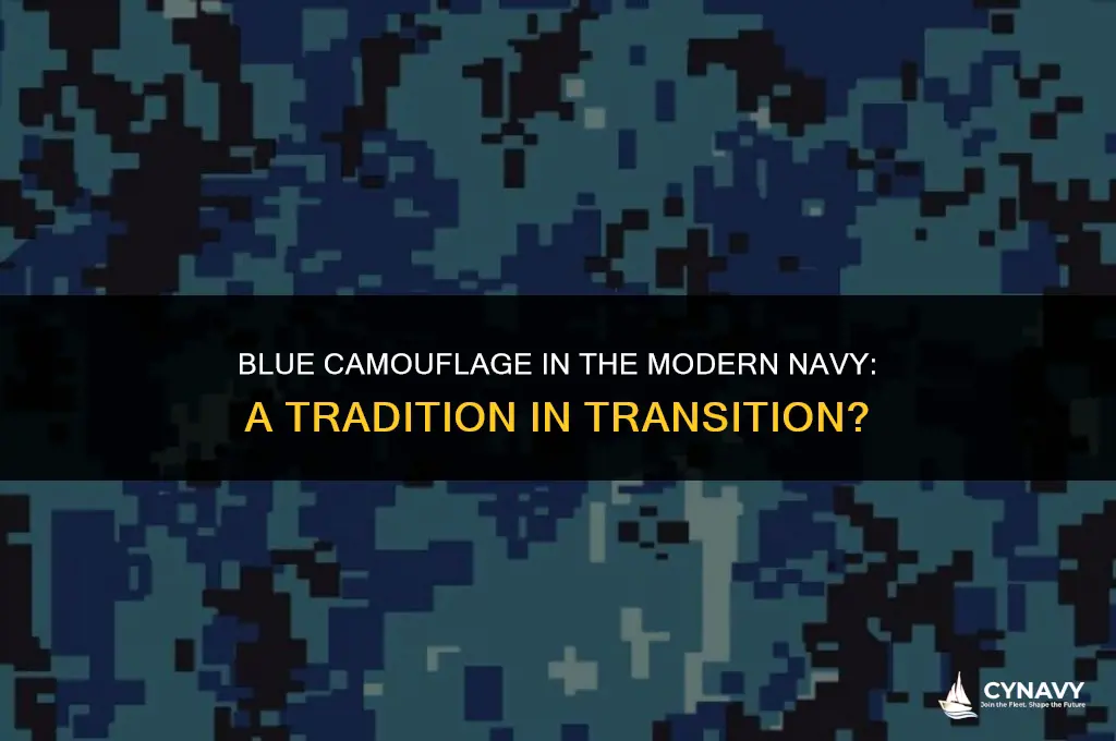 does the navy still wear blue camo