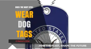 Do Navy Personnel Still Wear Dog Tags? A Comprehensive Guide