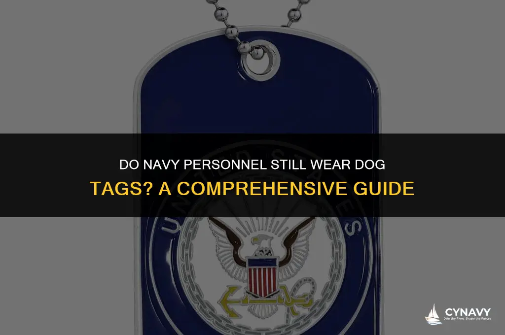 does the navy still wear dog tags
