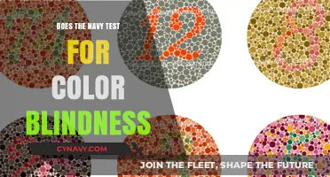 Exploring Navy Recruitment: The Color Vision Test Requirement