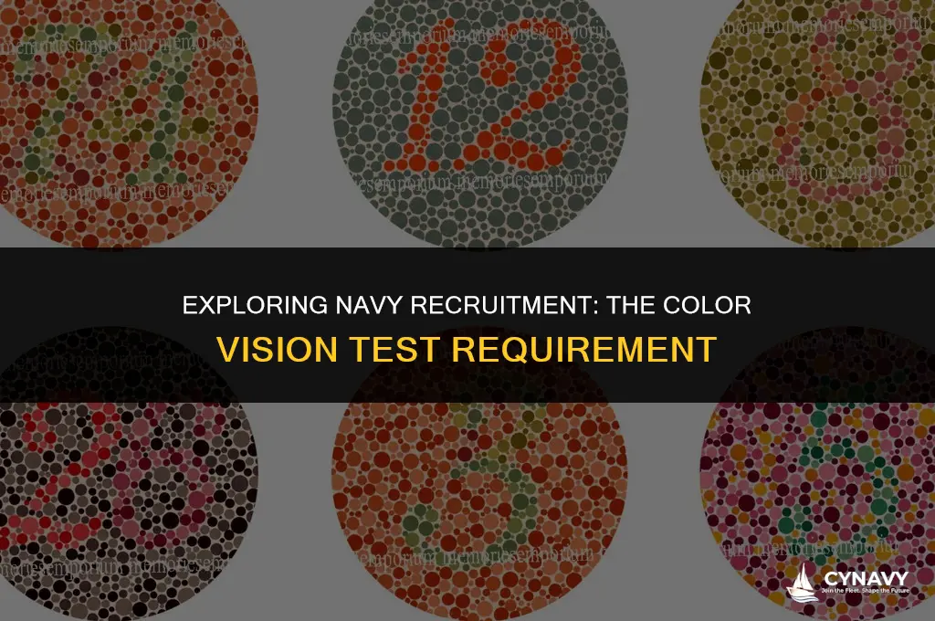 does the navy test for color blindness