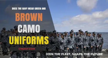 Exploring the Navy's Uniform Colors: Green and Brown Camo?