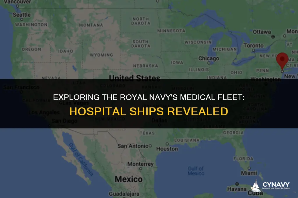 does the royal navy have a hospital ship