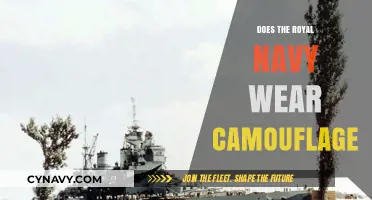 Stealth at Sea: Does the Royal Navy Wear Camouflage?
