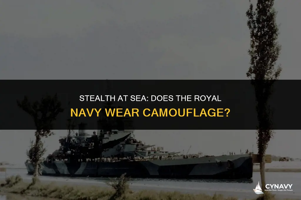does the royal navy wear camouflage