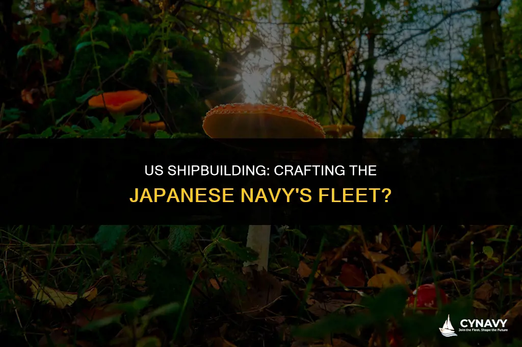 does the us build japanese navy ships