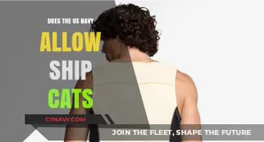 Feline Friends on the High Seas: The U.S. Navy's Ship Cat Policy