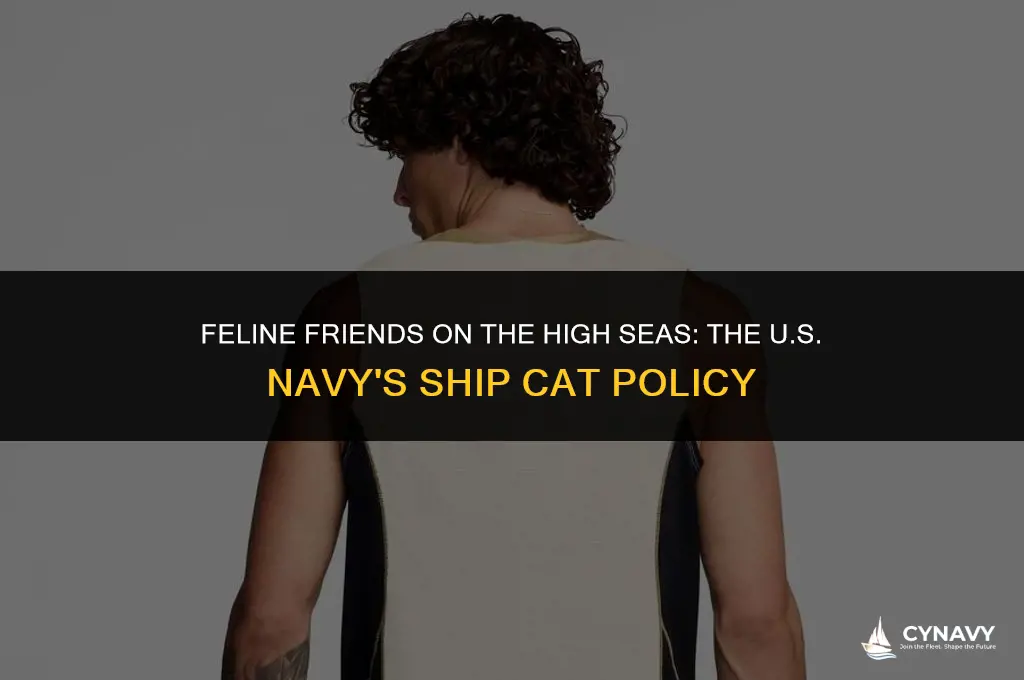 does the us navy allow ship cats