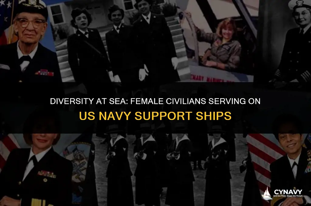 does the us navy employee female civilians on support ships