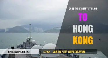 US Navy's Hong Kong Visits: A Tradition in Flux?