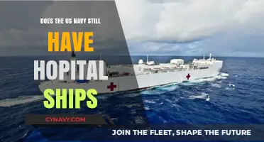 Exploring the Current Status of Hospital Ships in the U.S. Navy