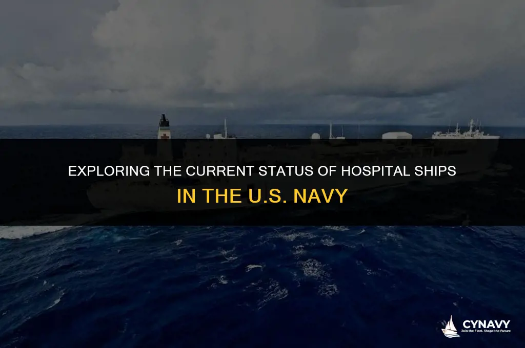 does the us navy still have hopital ships