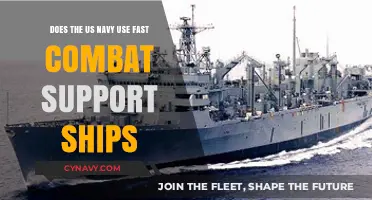 Exploring the Role of Fast Combat Support Ships in the US Navy