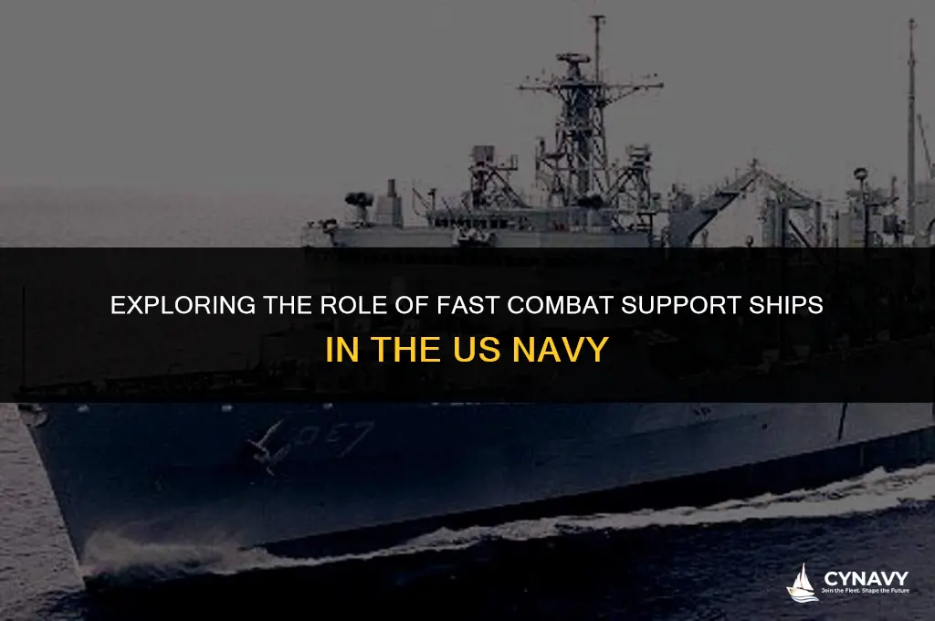does the us navy use fast combat support ships