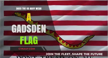 Exploring the Gadsden Flag's Presence in US Navy Attire