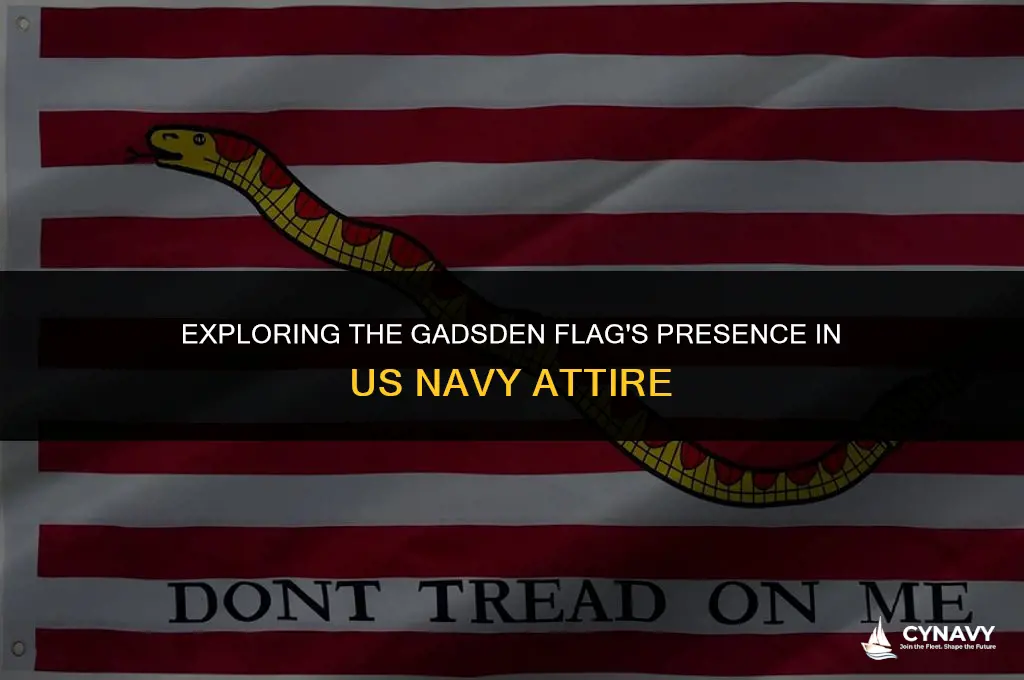 does the us navy wear a gadsden flag