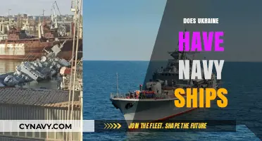 Exploring Ukraine's Naval Fleet: A Closer Look at Its Capabilities