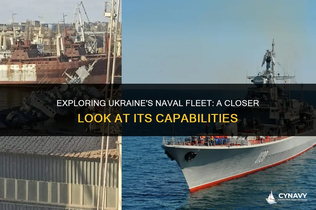 does ukraine have navy ships