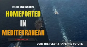 Exploring the US Navy's Presence: Homeported Ships in the Mediterranean