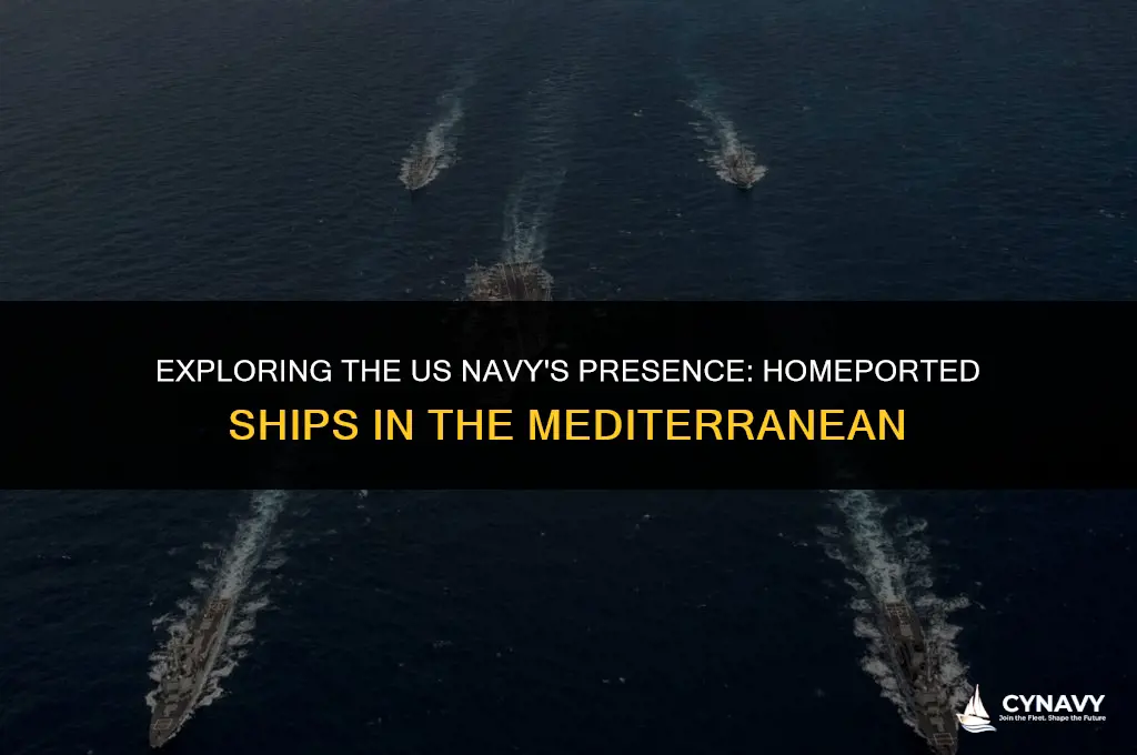 does us navy have ships homeported in mediterranean