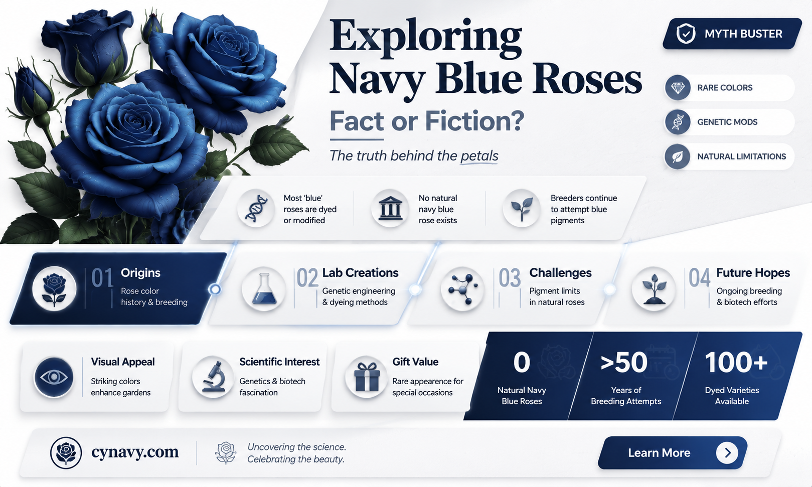 are there navy blue roses