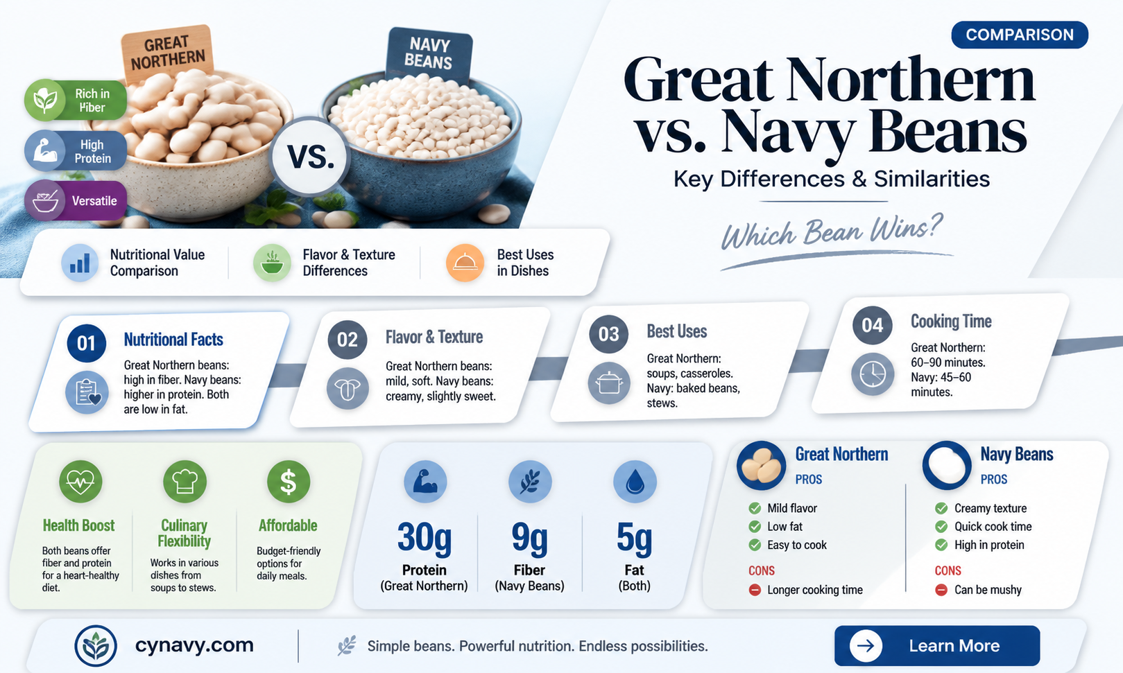 are great northern beans and navy beans the same
