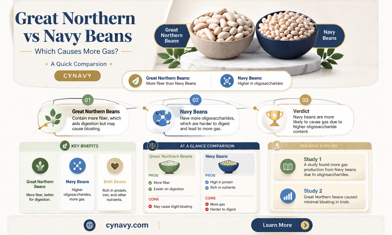 are great northern beans more gassy than navy beans