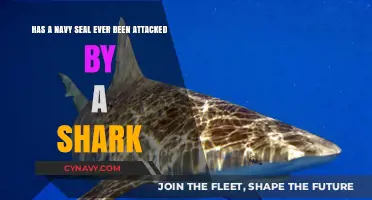 Shark Encounters: Unveiling the Truth About Navy SEALs and Sharks