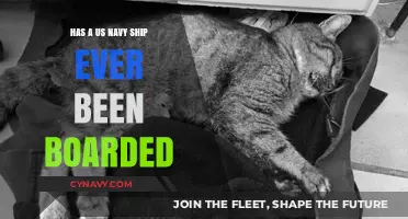 A Historical Look: Has a US Navy Ship Ever Been Boarded?