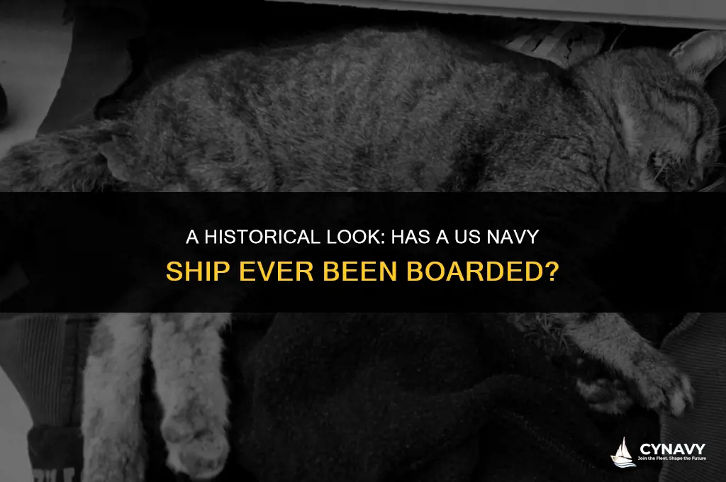 has a us navy ship ever been boarded