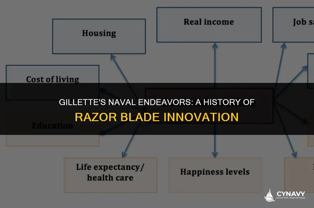 has gillette ever bought navy ships to make razor blades