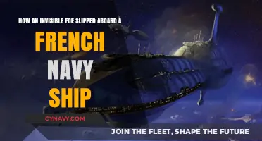 Stealthy Intruder: The Unseen Enemy on a French Naval Vessel