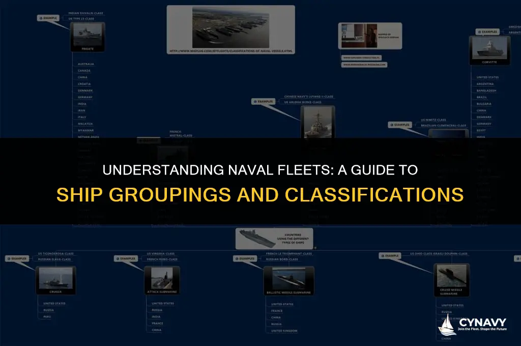 how are ships grouped in the navy