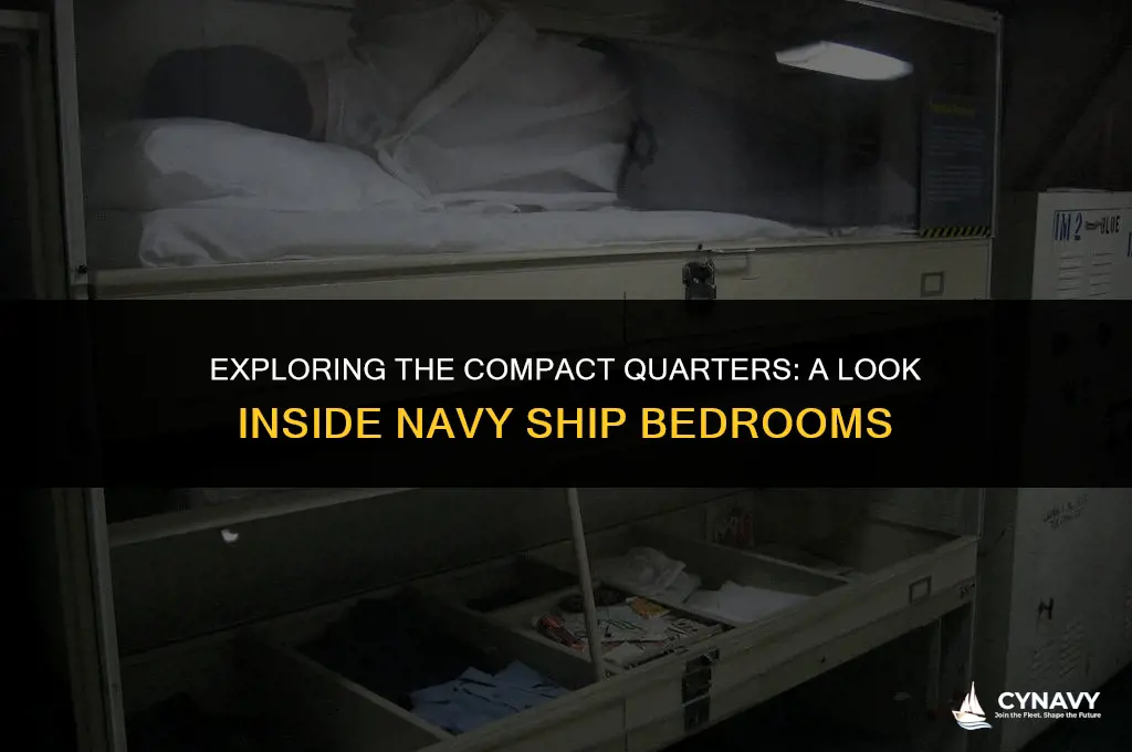 how big are navy ship bed bedrooms