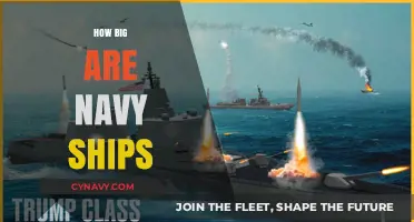 Exploring the Immensity: A Deep Dive into Navy Ship Dimensions