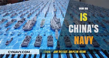 Exploring the Size and Strength of China's Naval Fleet
