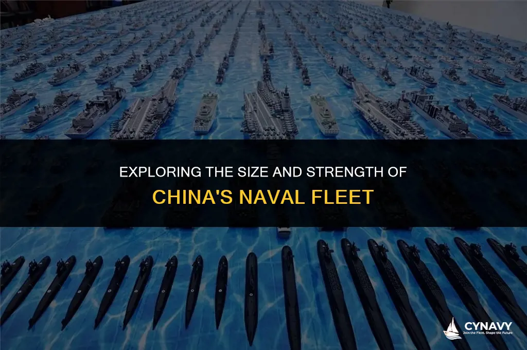 how big is china