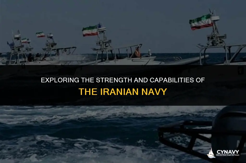 how big is the iranian navy