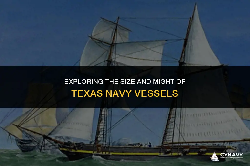 how big were the texas navy ships