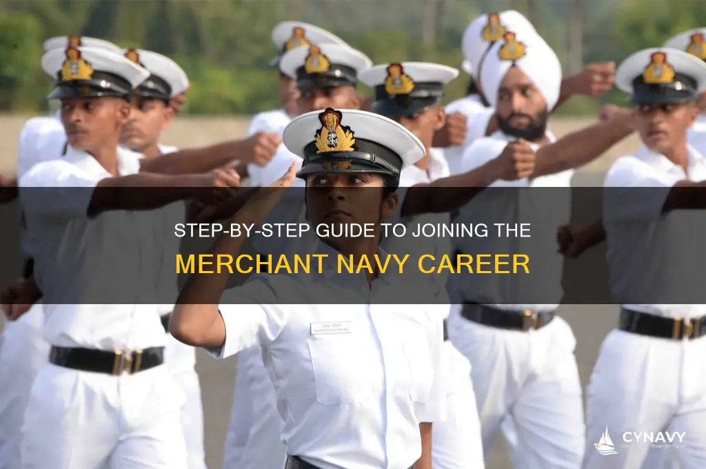how can i get into merchant navy