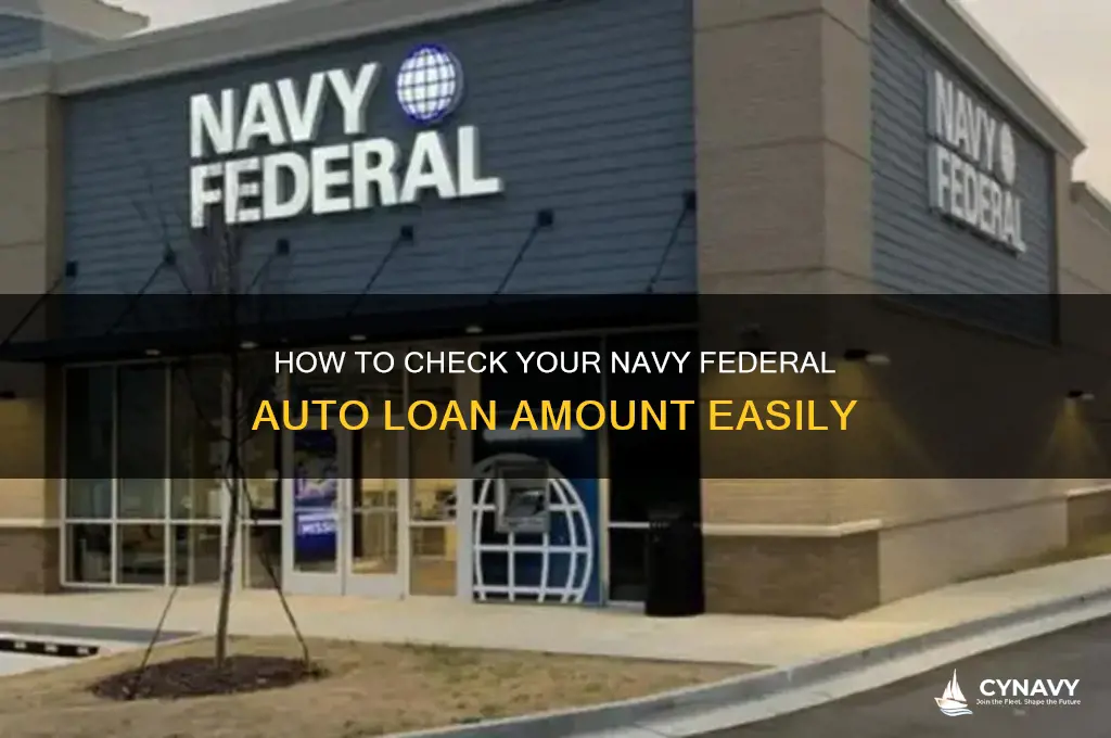 how can i get my navy federal auto loan amount