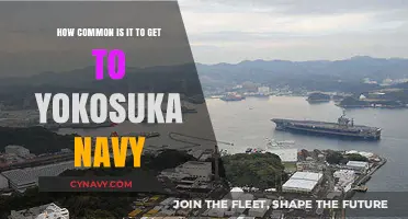 Navigating Yokosuka: Understanding Access to the U.S. Navy Base
