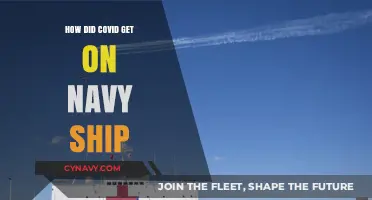 Unraveling the Mystery: How COVID-19 Affected the Navy Ship
