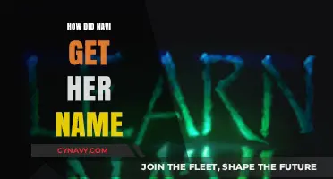 The Origin of Navi's Name: Uncovering the Story Behind the Legend