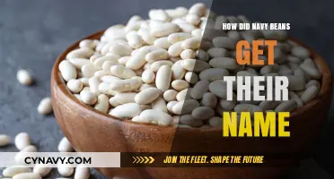The Surprising Origin Story of Navy Beans' Name Revealed